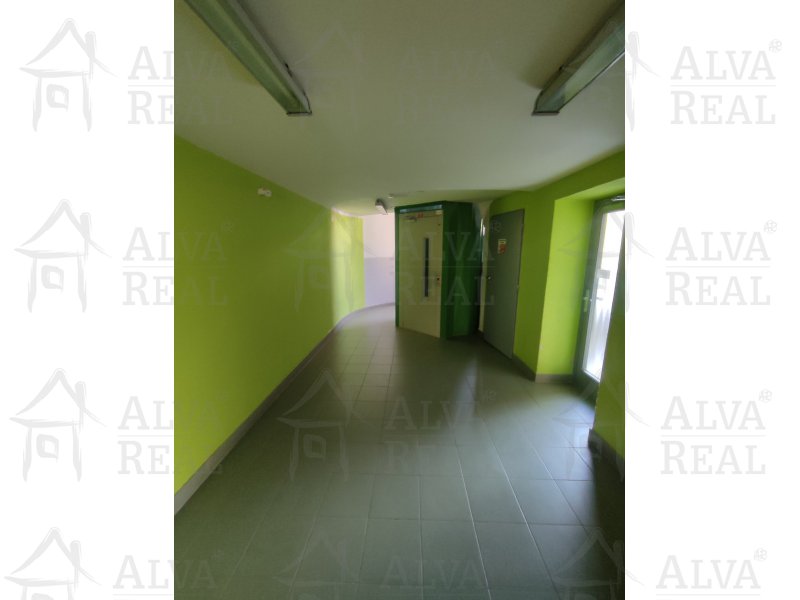 Obrázek k zakázce č.: 713802