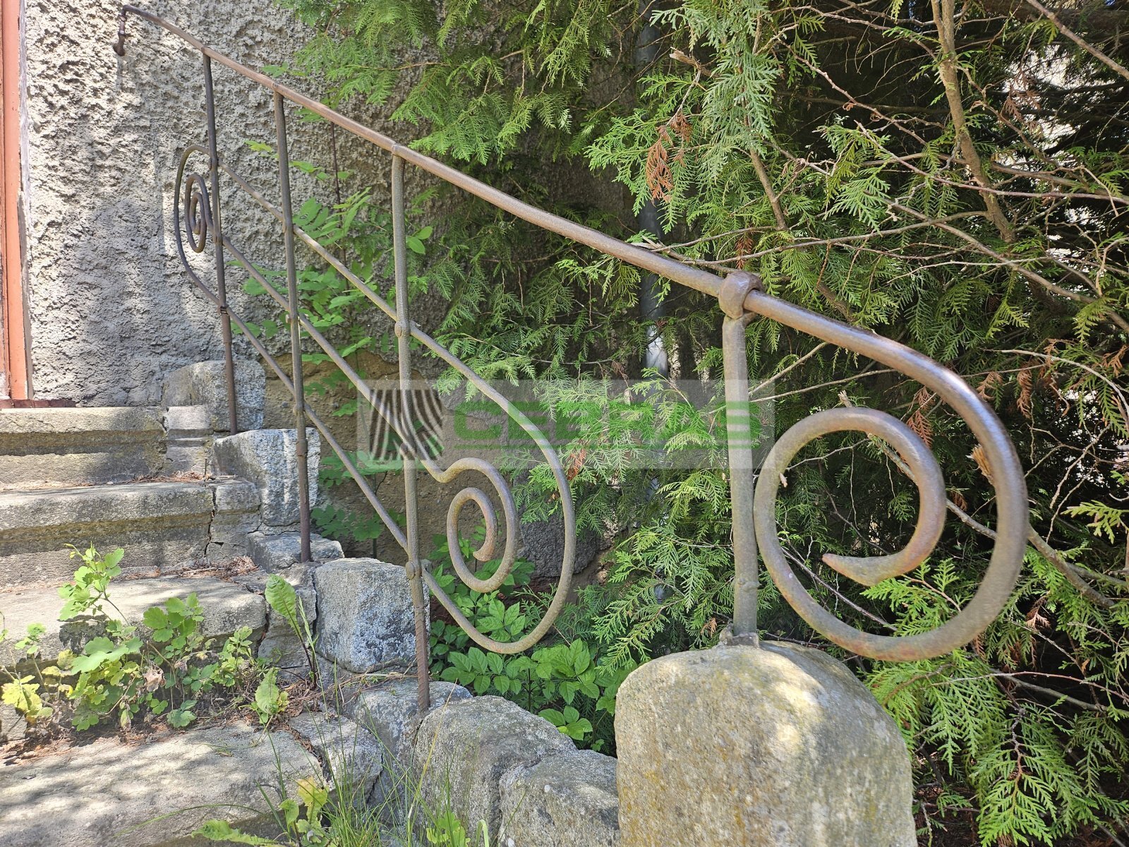 20250612_120440.jpg