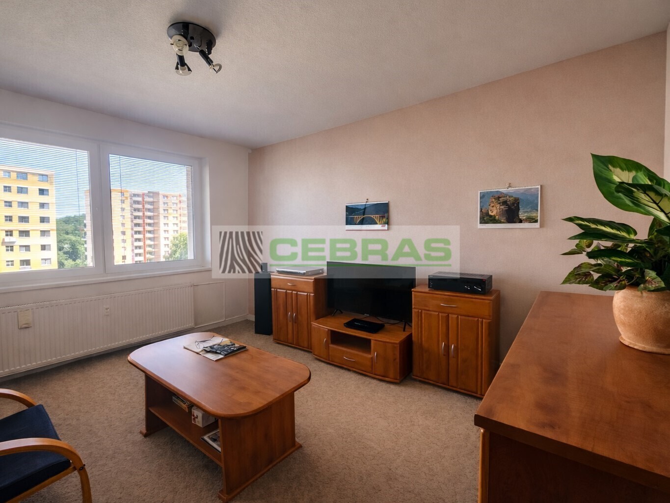 Hlavní pokoj - výhled