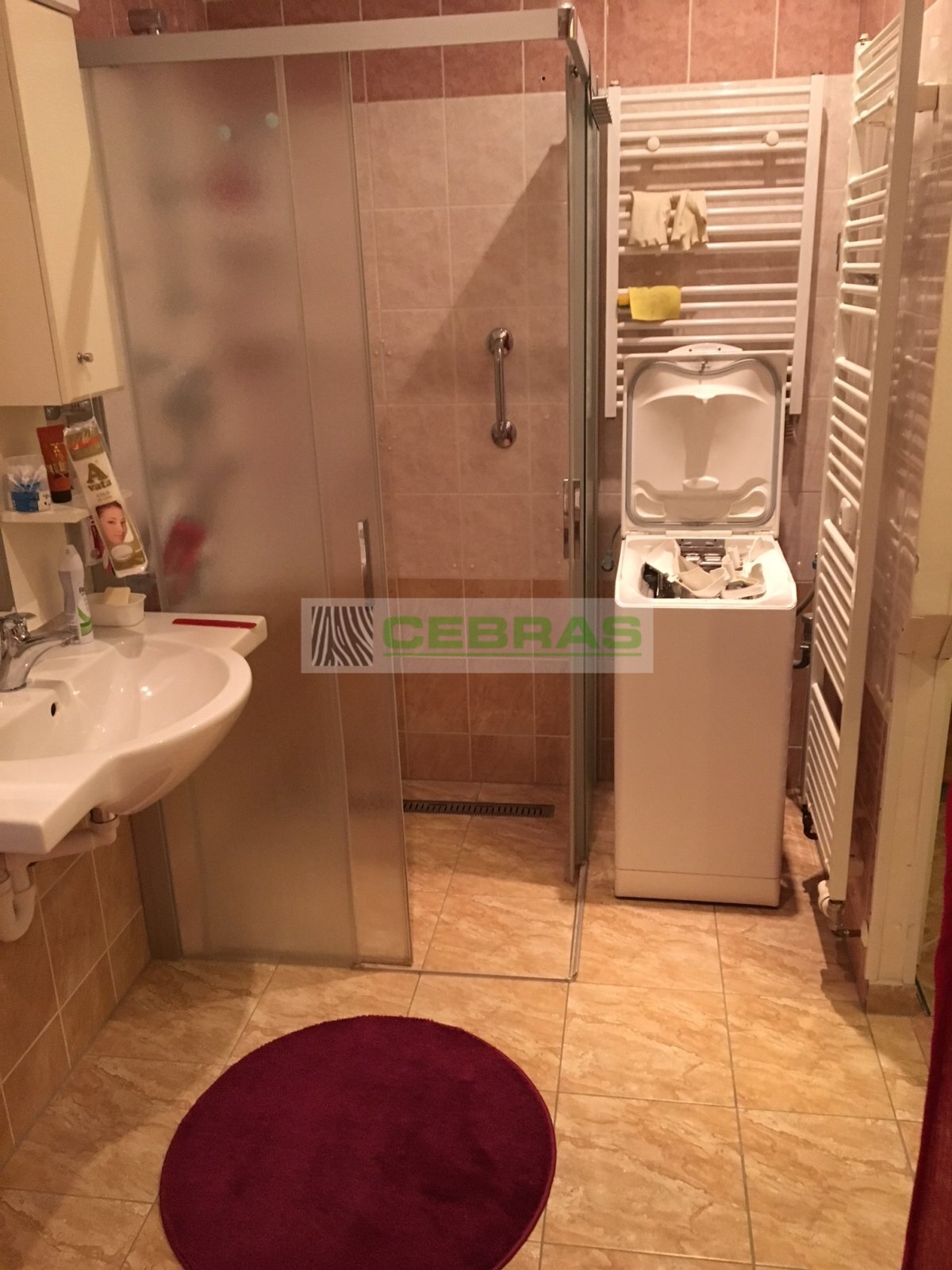 Koupelna se sprchovým koutem