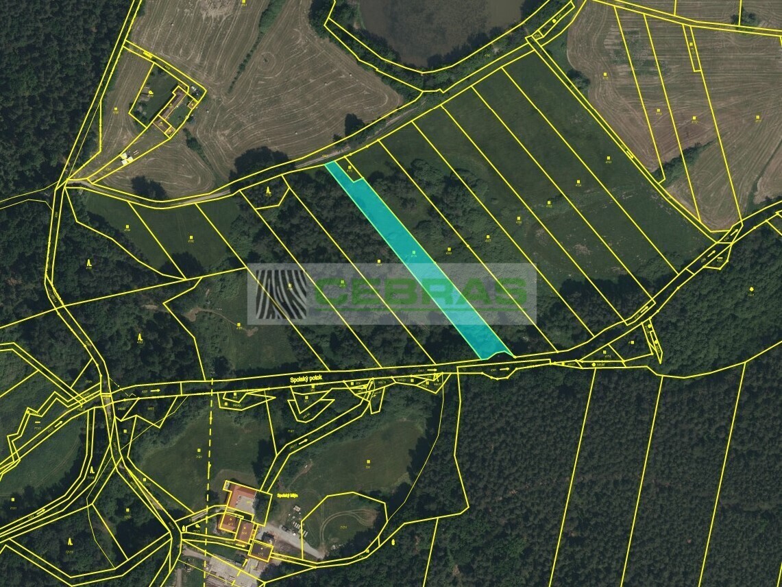 Katastrální mapa