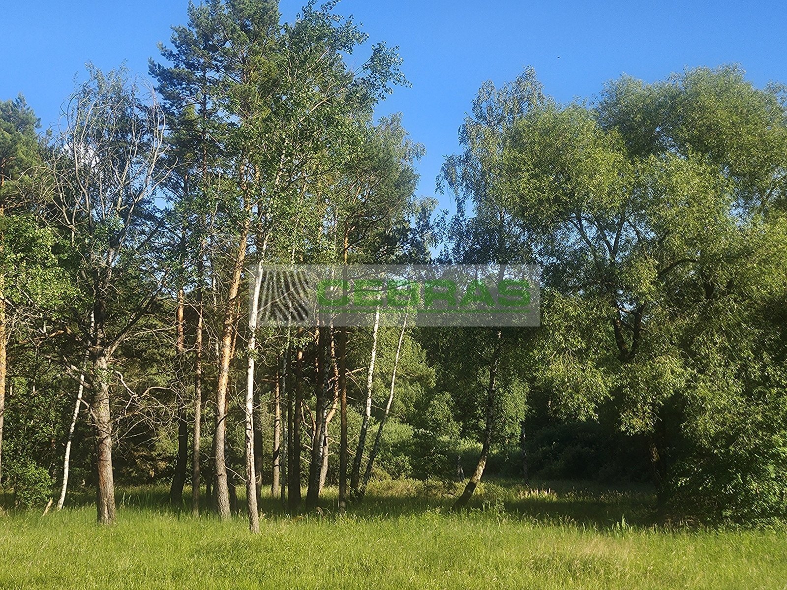 Pozemek