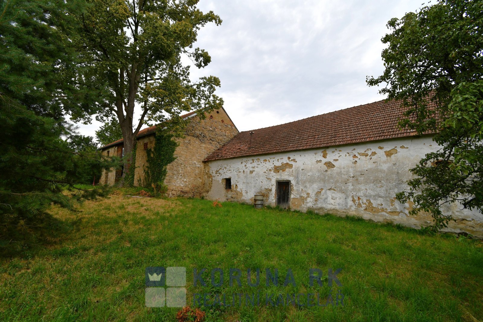 DSC_1798.JPG