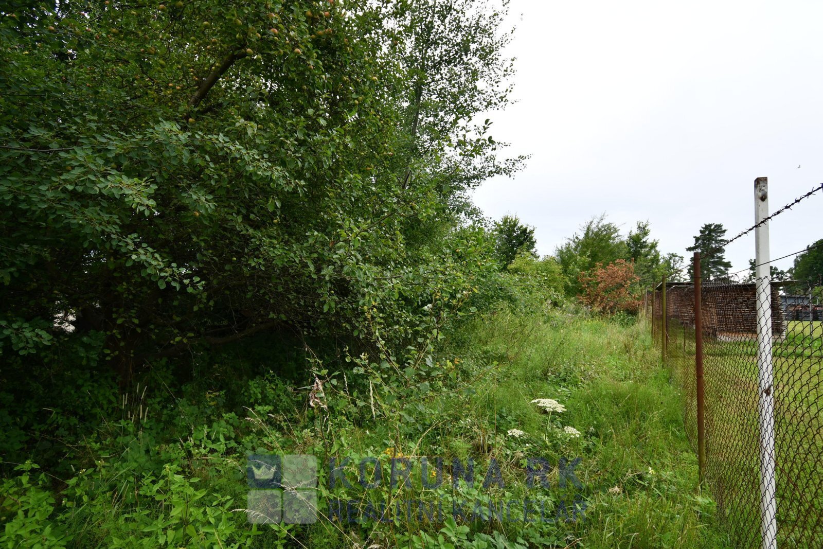 DSC_2250.JPG
