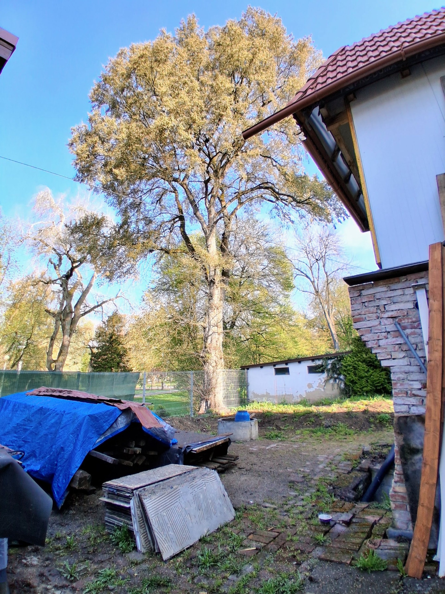 Dům – Česká Lípa, Stará Lípa – pohled 5