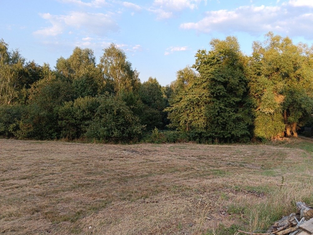 IMG_20260730_200122 (1)