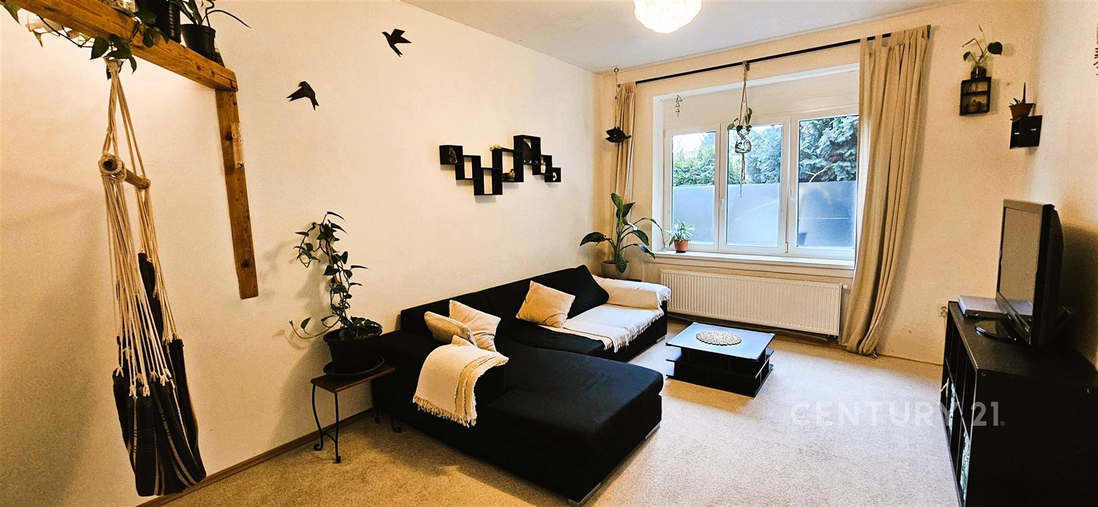 Světlý obývací pokoj s moderní výzdobou, kobercovo