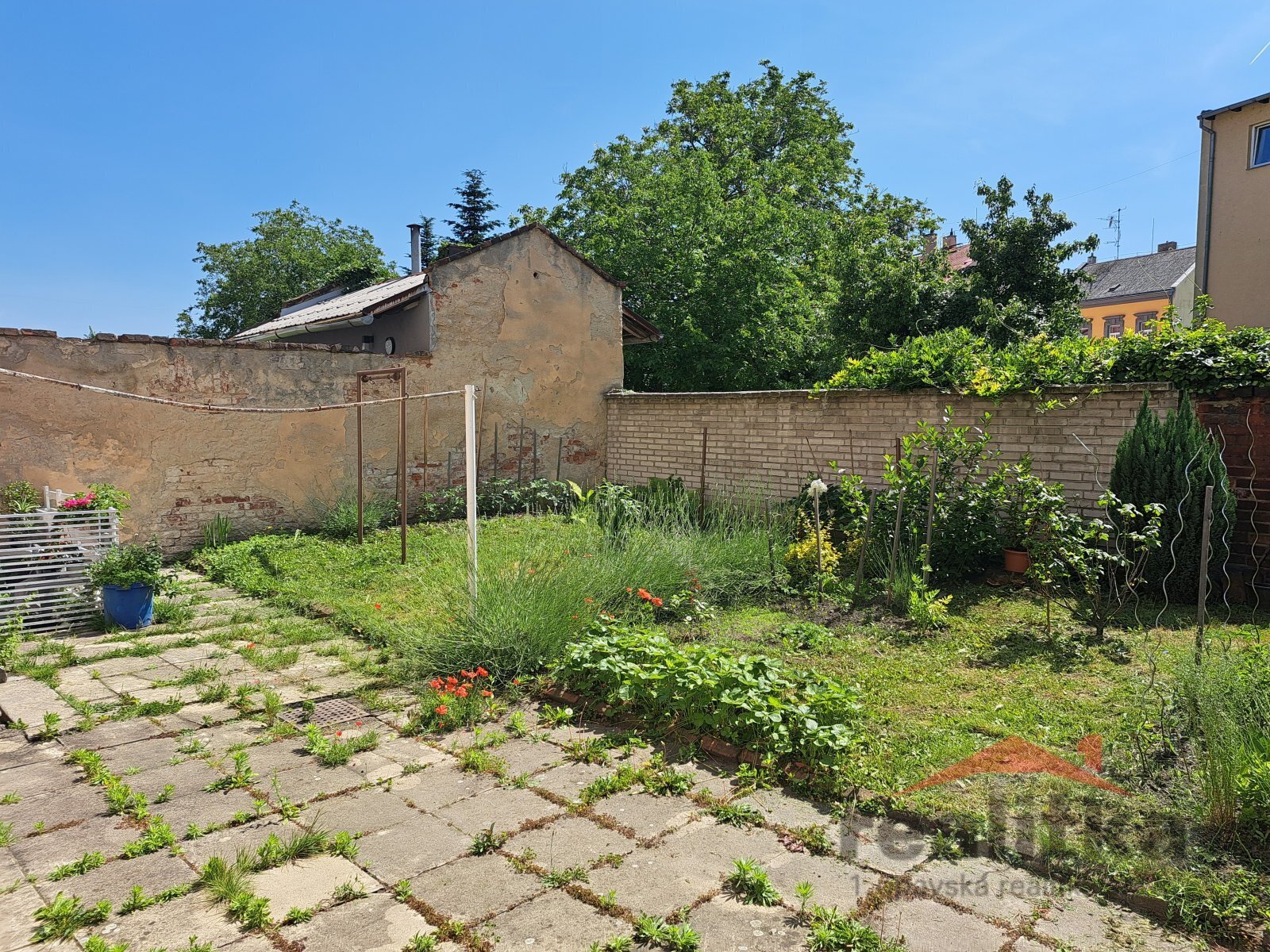 20250613_141446.jpg