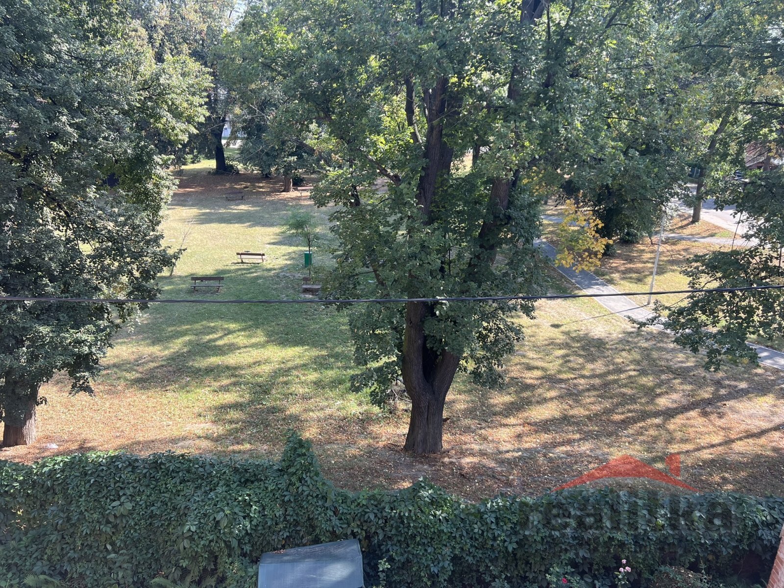 IMG_0350.JPEG