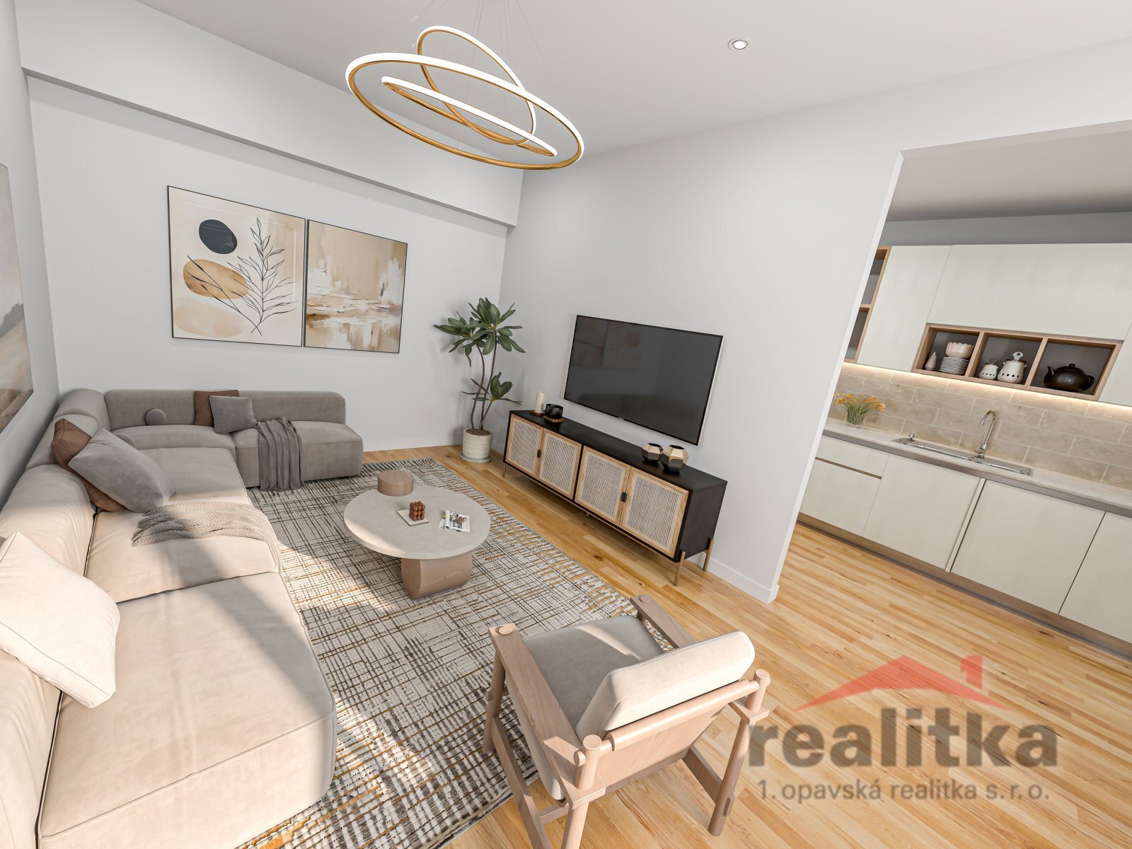 living room _ kitchen.jpg