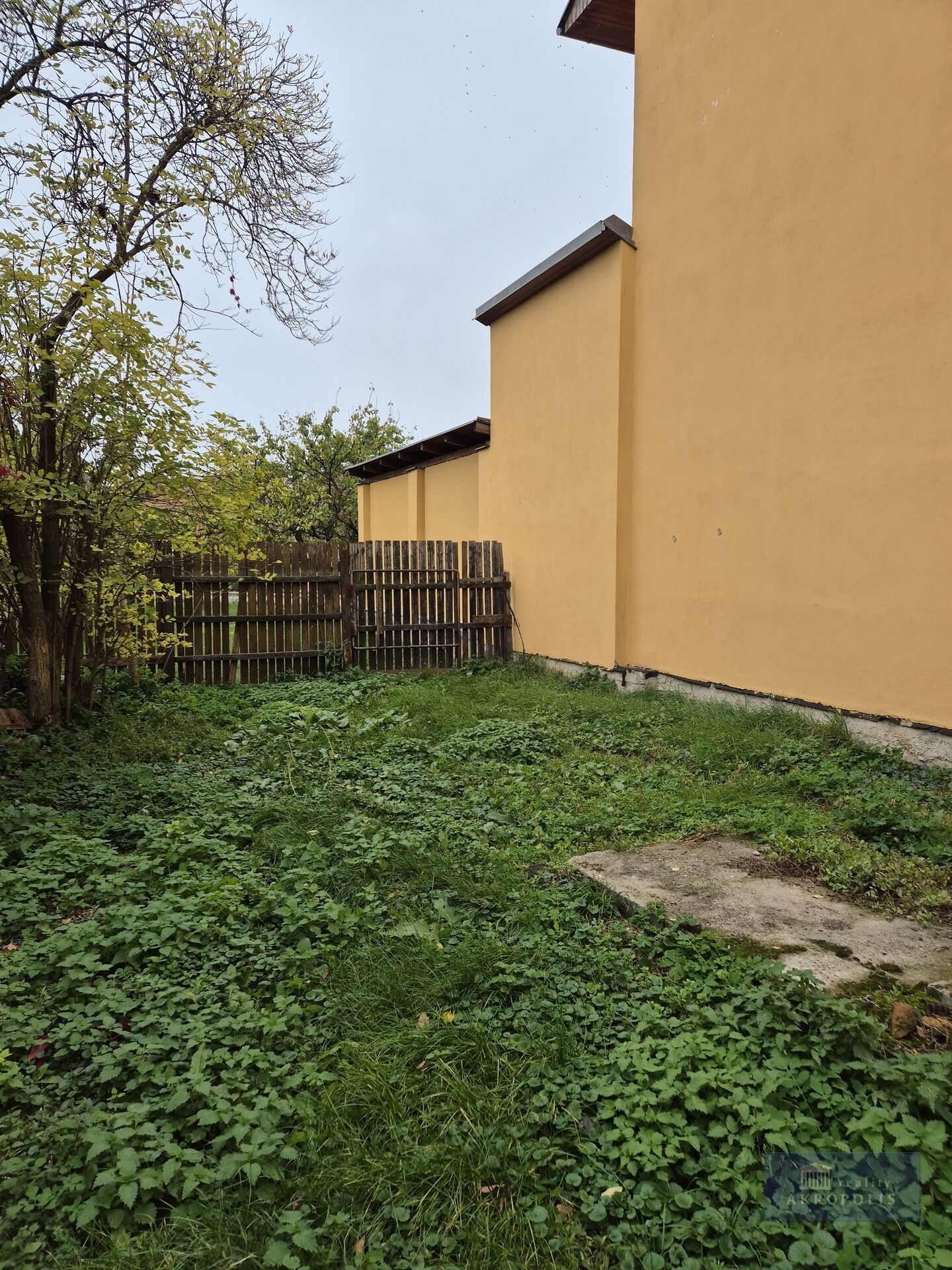 Prodej obchodu Horní Věstonice 5 900 000 Kč, foto 5