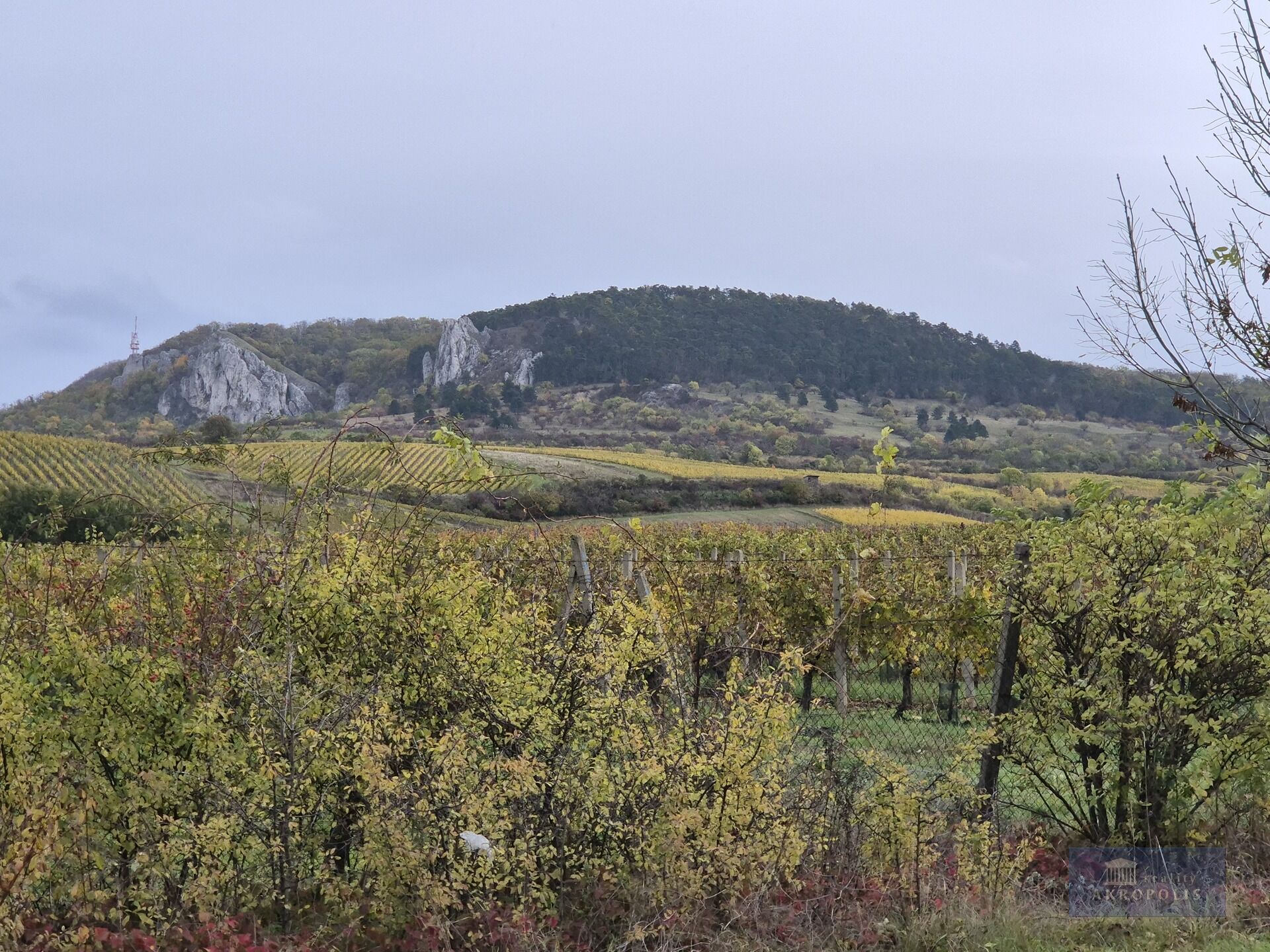 Prodej obchodu Horní Věstonice 5 900 000 Kč, foto 8