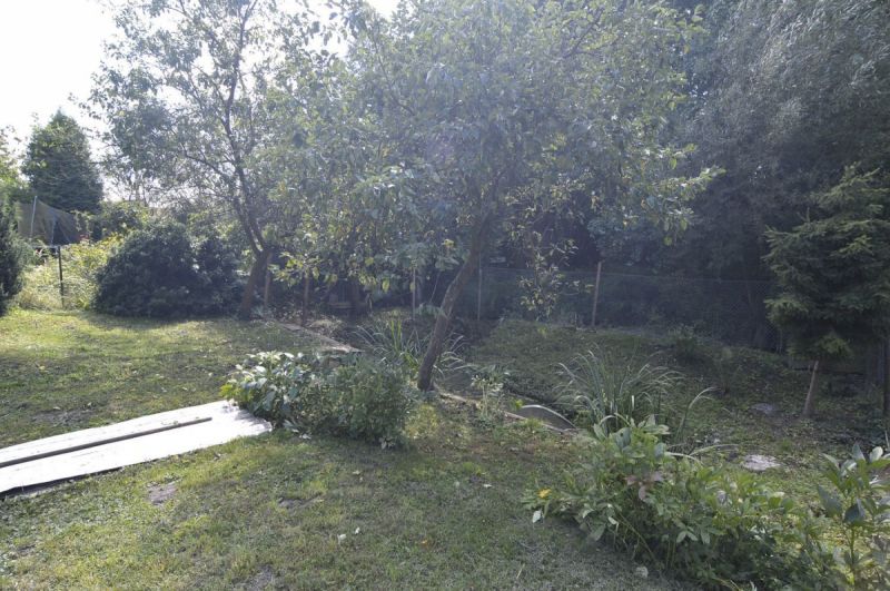 Zahrada u lesa se zahradním domkem v Týništi nad Orlicí.