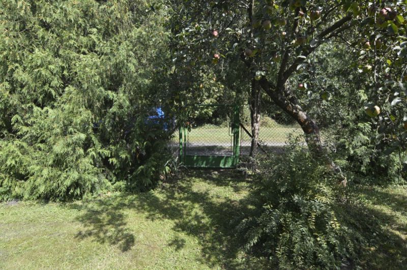 Zahrada u lesa se zahradním domkem v Týništi nad Orlicí.