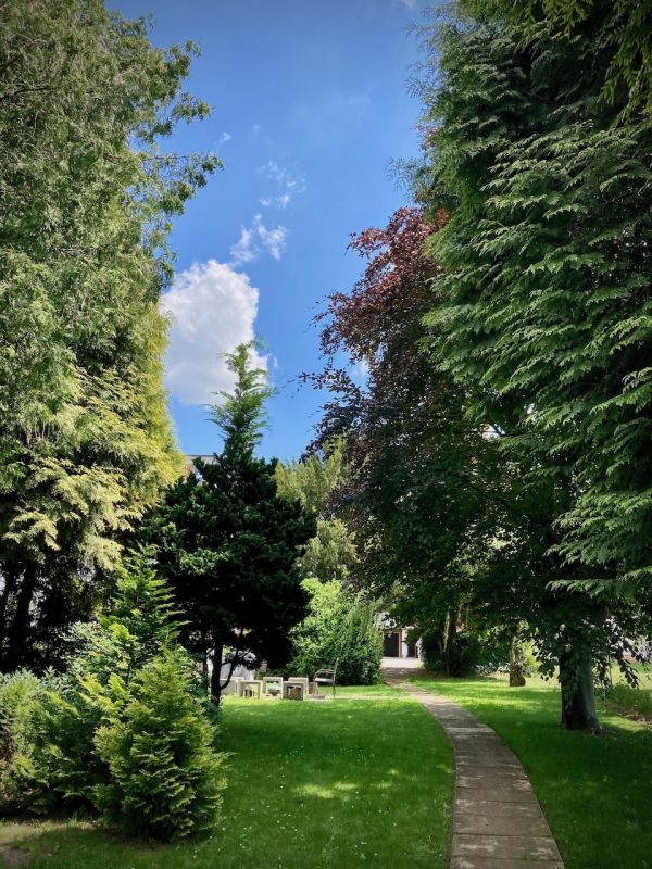 Pronájem bytu 2+kk, 62 m2 v centru Nového Města n/