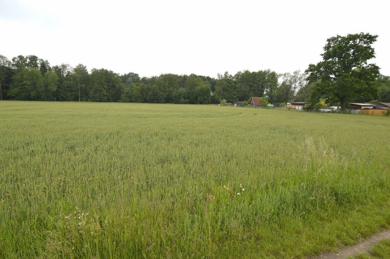 Podíl o velikosti 1/2 na pozemku v Týništi nad Orl
