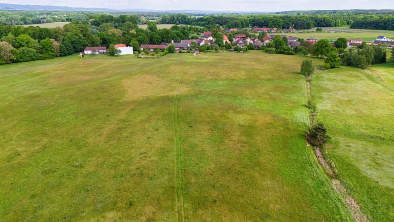 Prodej zemědělských pozemků v Třebechovicích p.O. - Krňovice