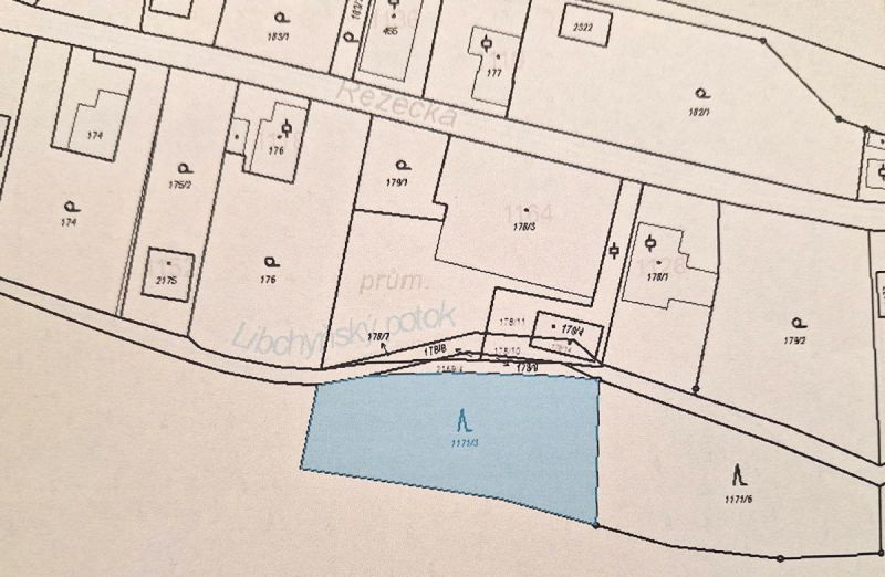 Malý les v Novém Městě nad Metují