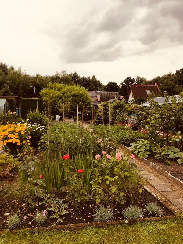 Udržovaná zahrádka se zahradní chatkou v Týništi n