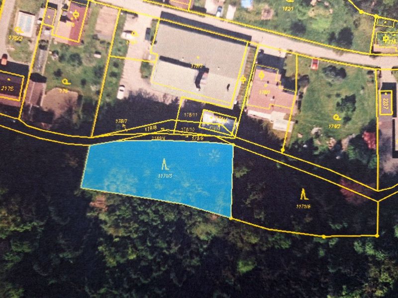 Malý les v Novém Městě nad Metují