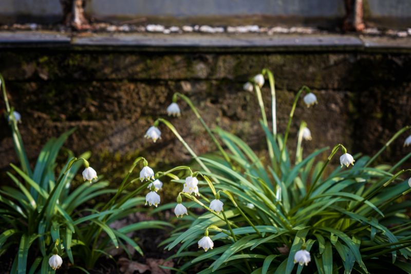 Udržovaná zahrádka se zahradní chatkou v Týništi n