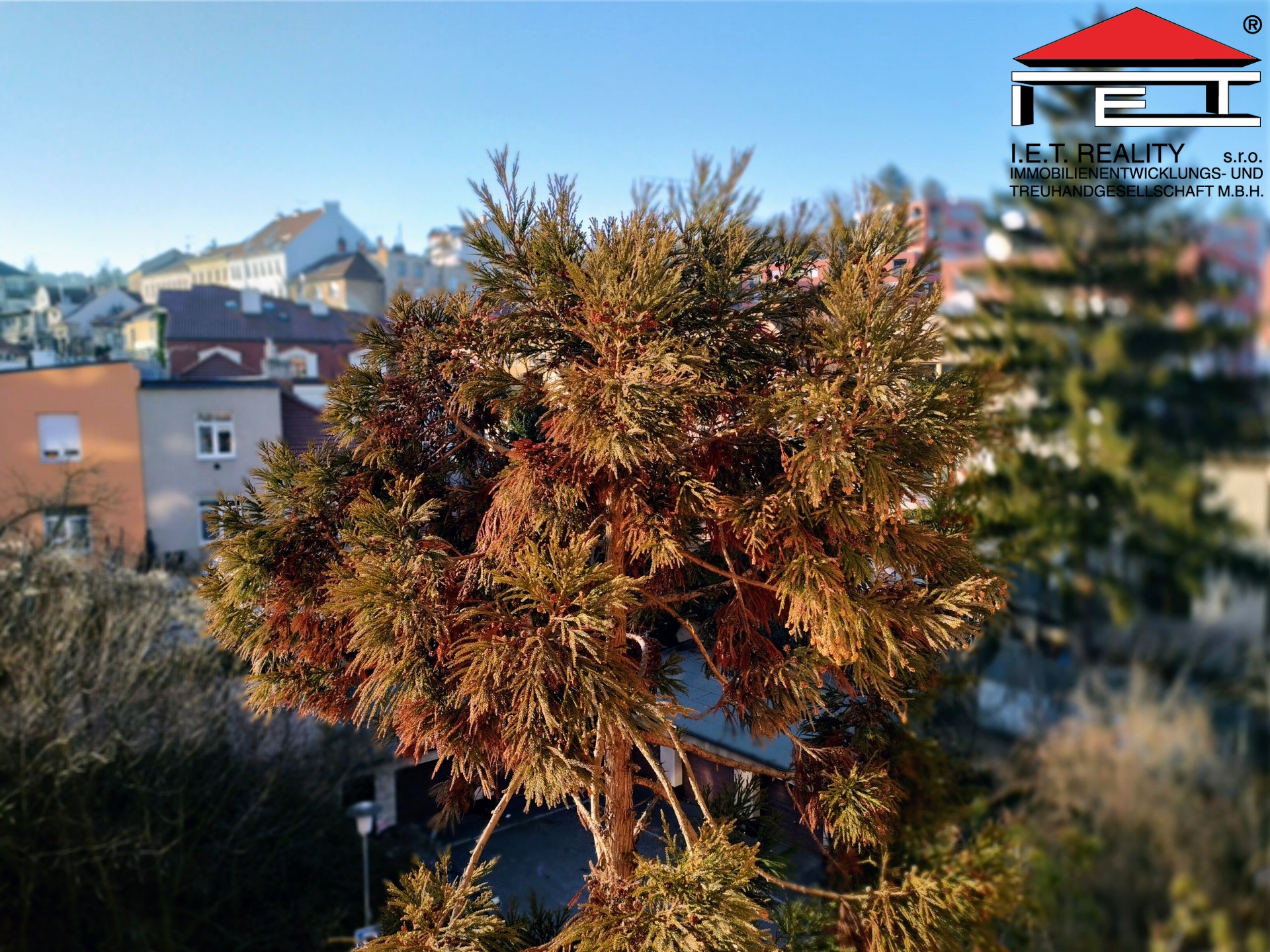 IMG_20240109_142944_HDR-1