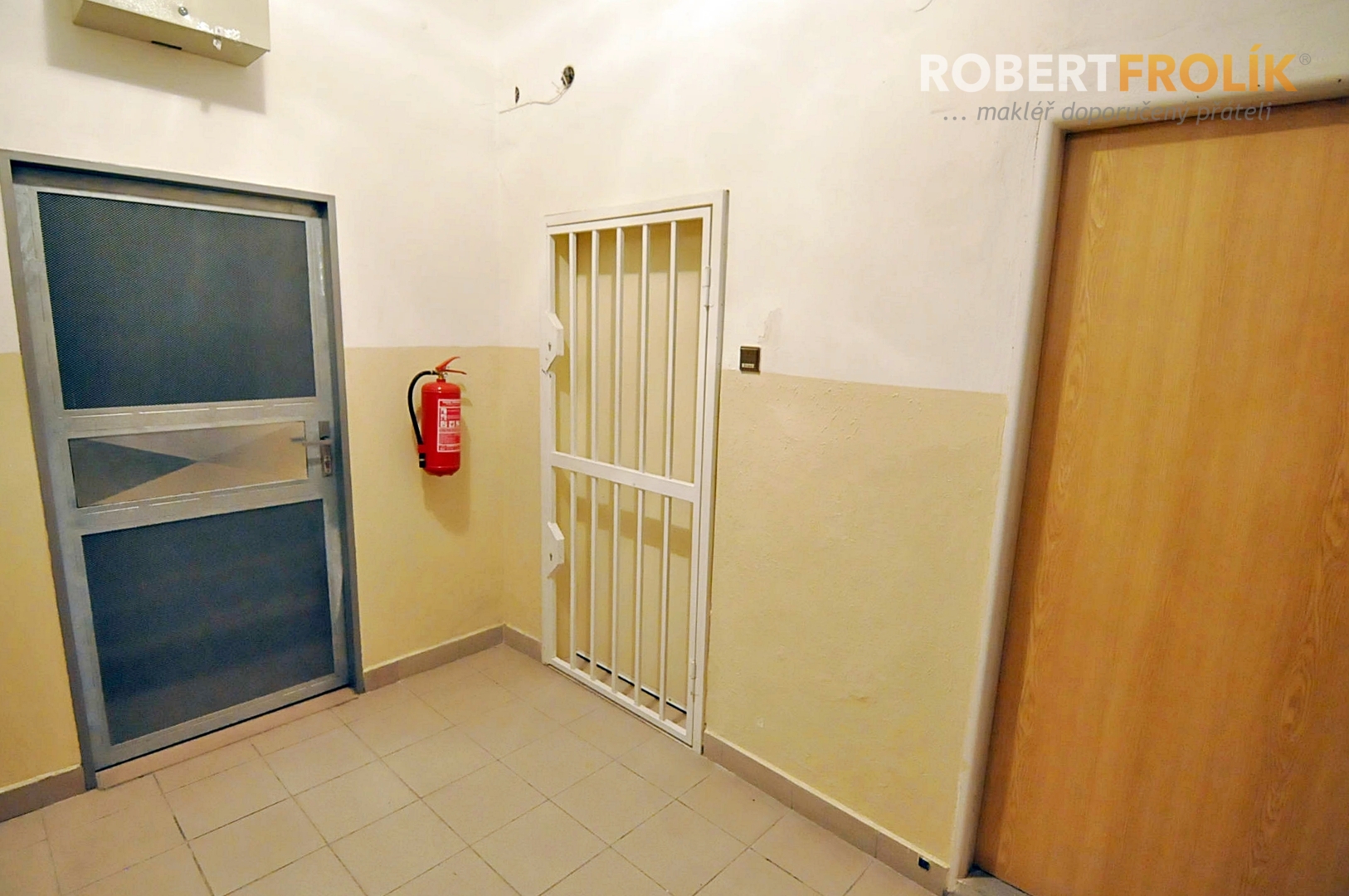 Nebytový prostor k pronájmu - Praha 6, Bubeneč - Eliášova - vstup