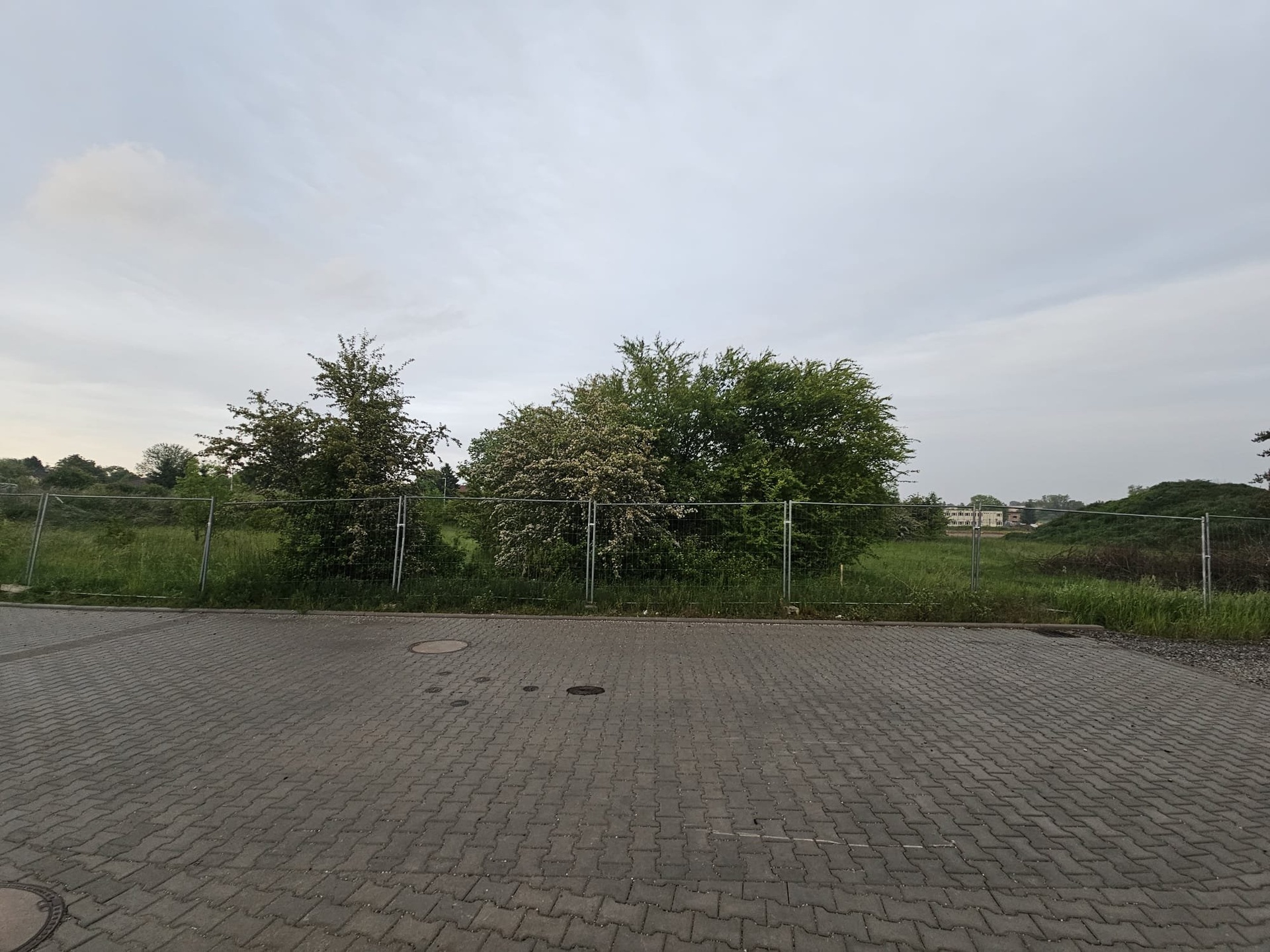 81999e99-505b-4cb6-8110-37e5dbb90fc1