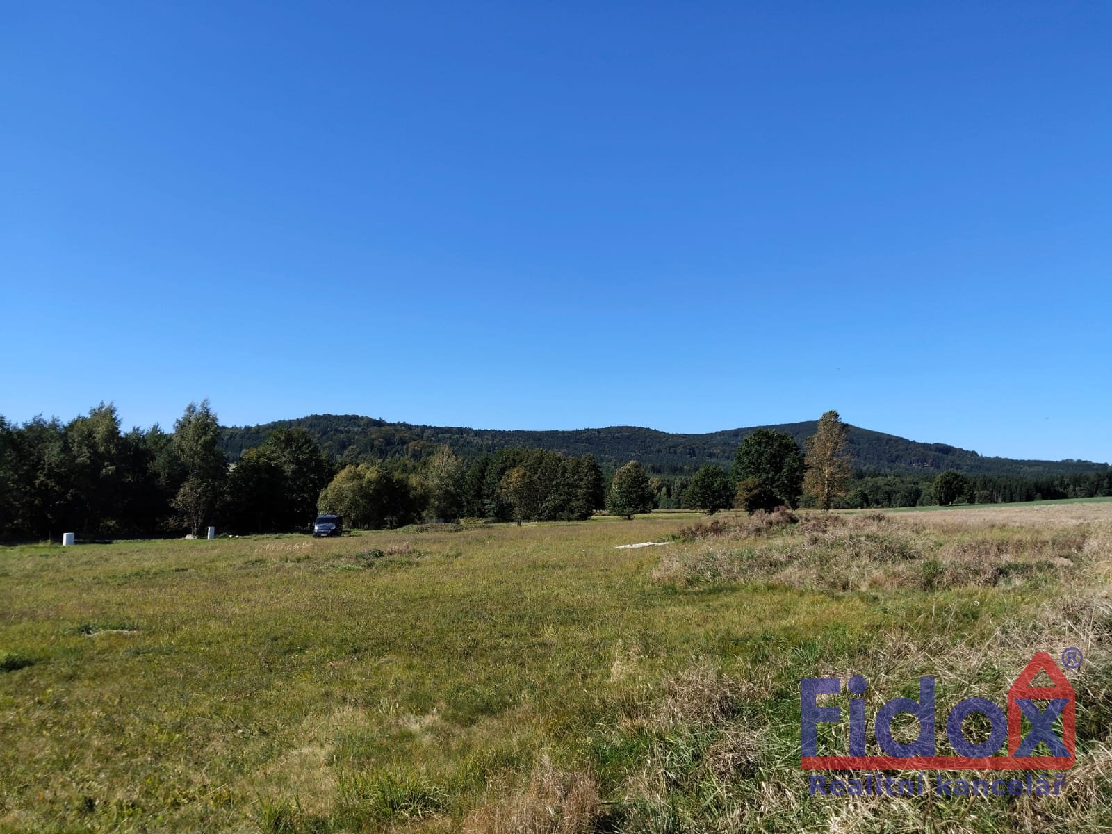 WhatsApp Image 2026-02-03 at 15.31.55