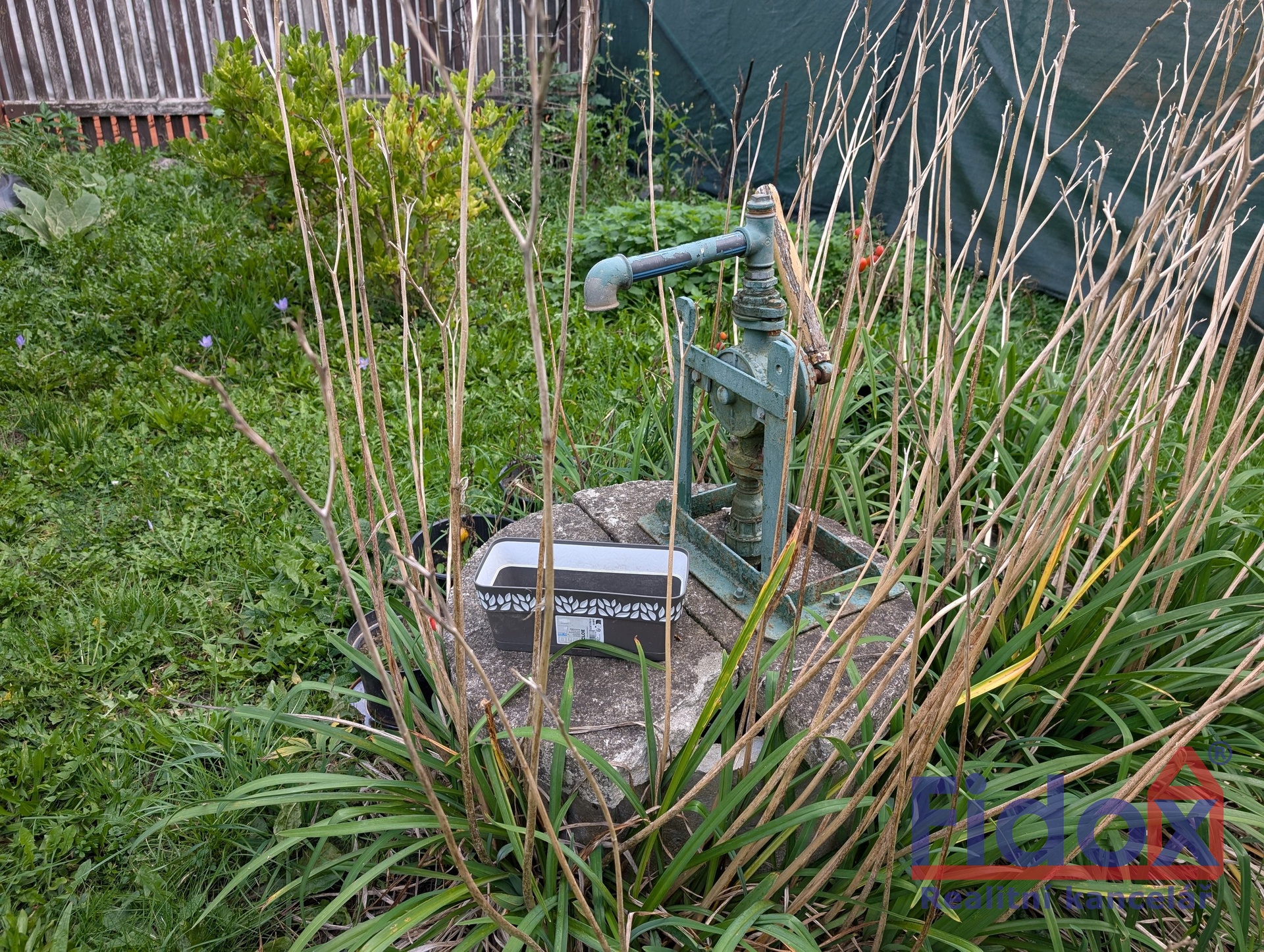 PXL_20250929_113141869