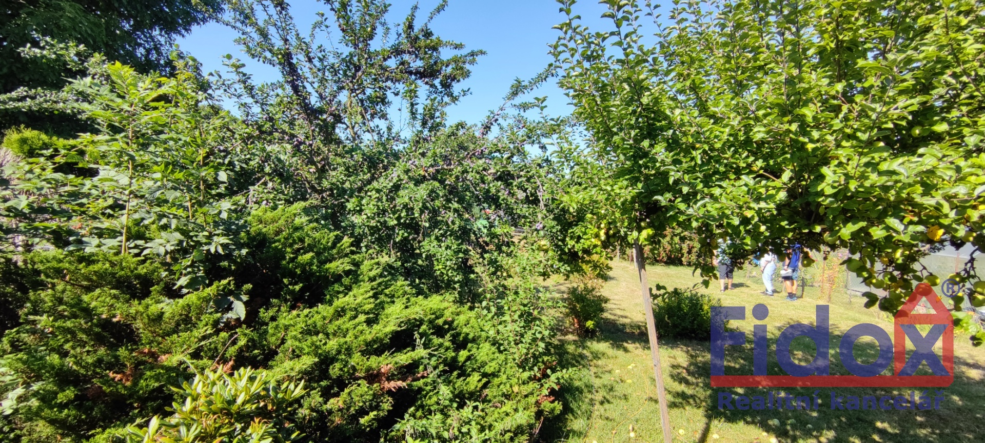 IMG_20220808_102703