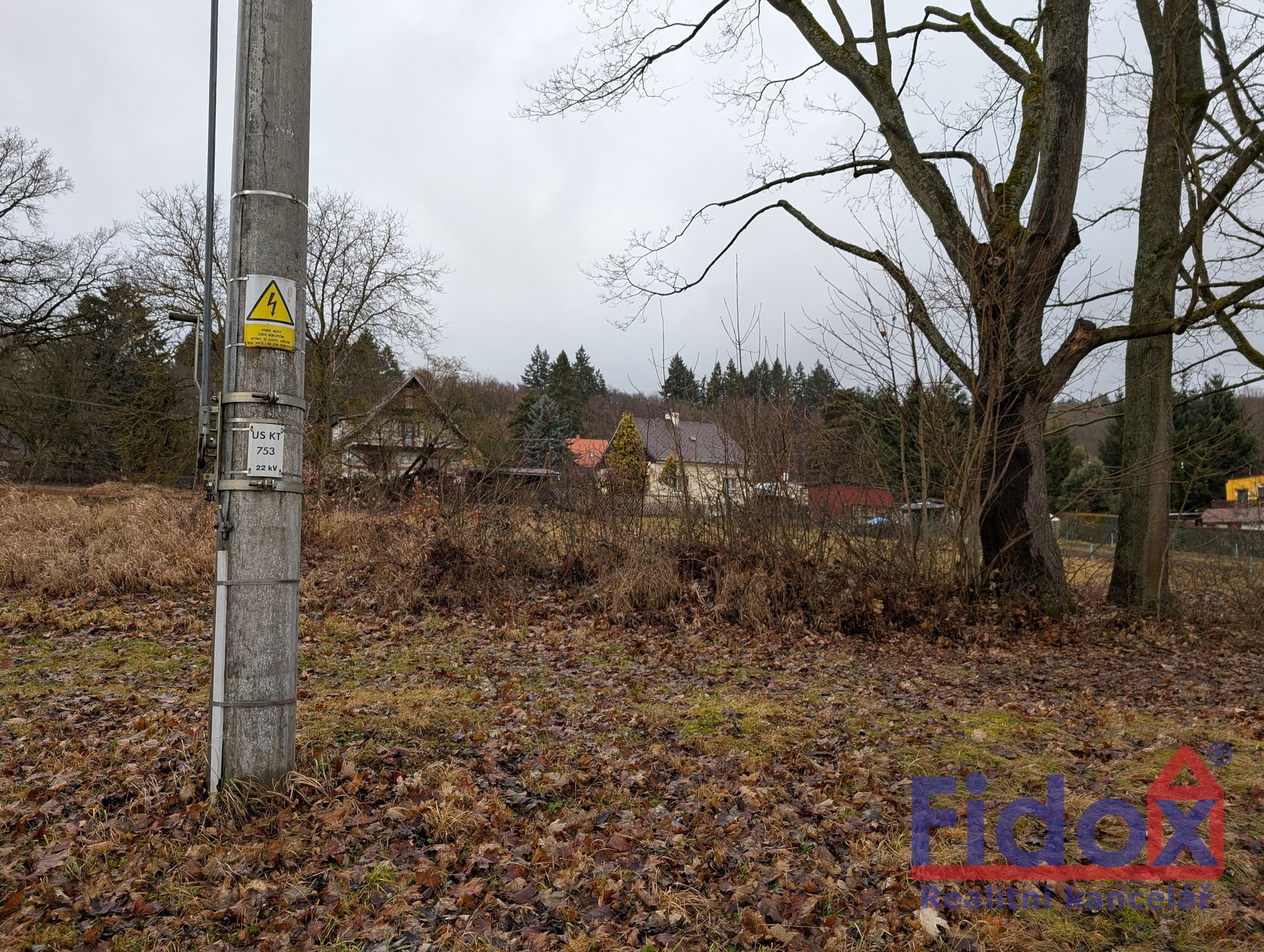 PXL_20260223_103238634