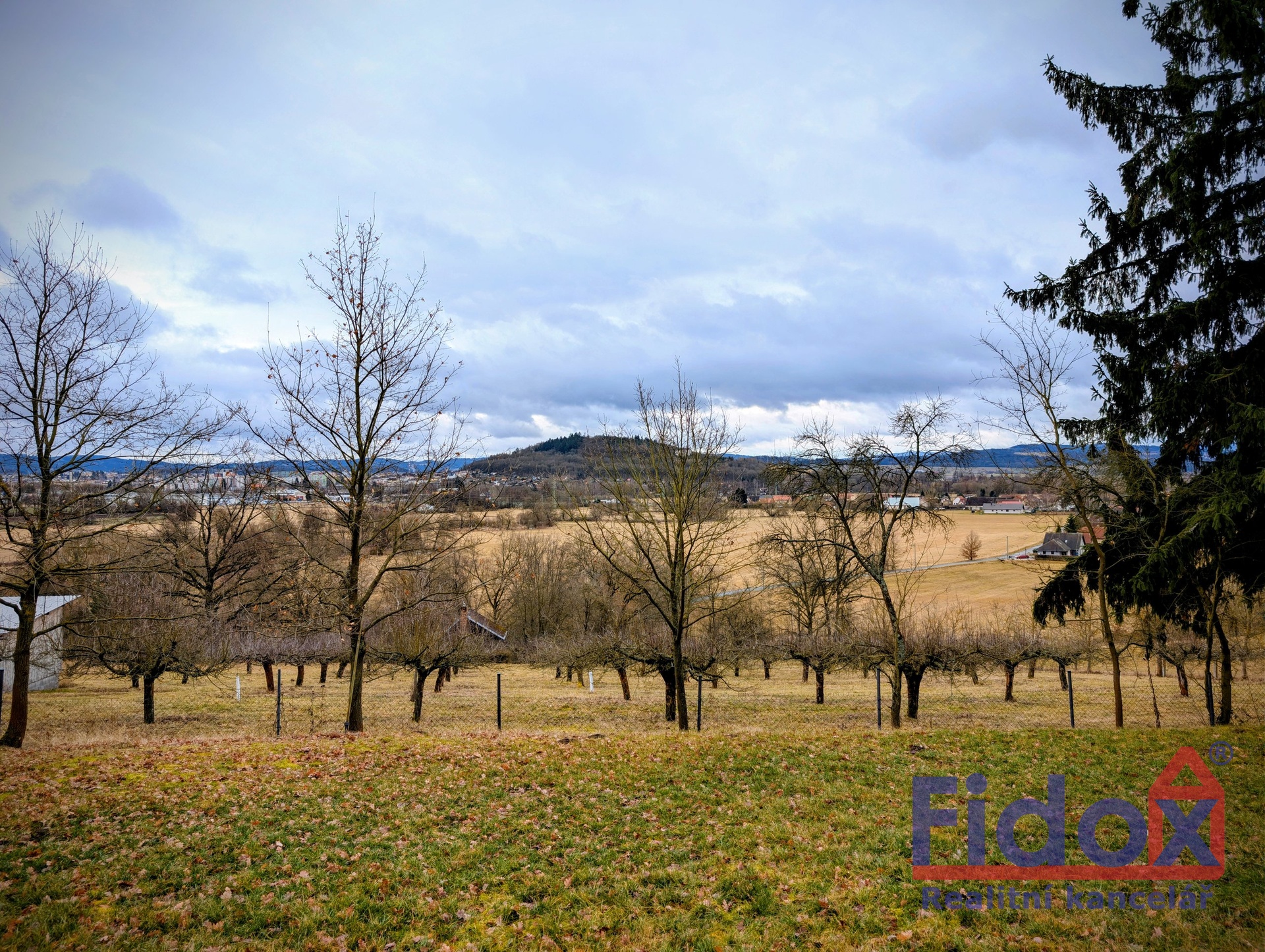 PXL_20260223_143325698~2