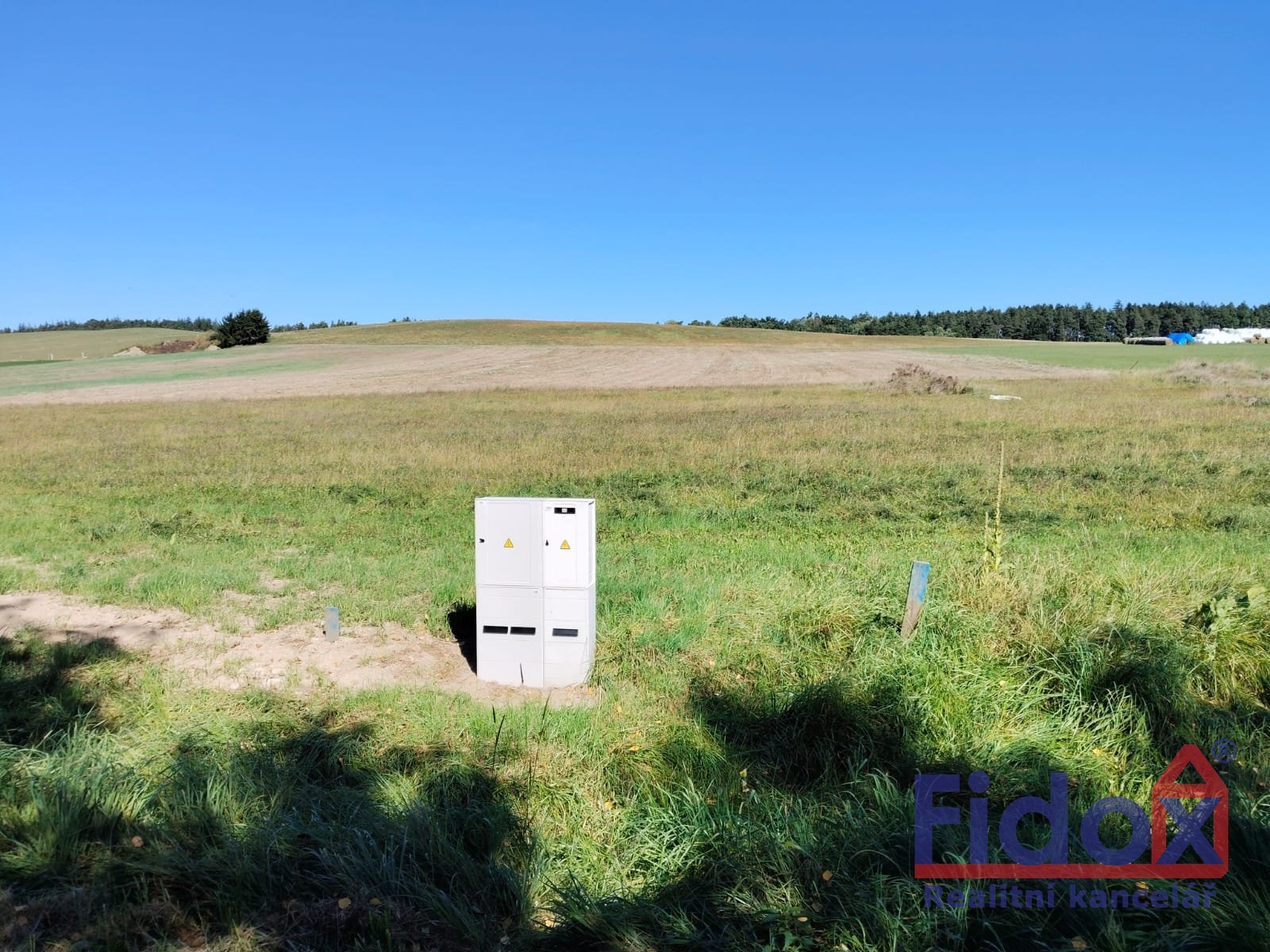 WhatsApp Image 2026-02-03 at 15.31.56 (4)