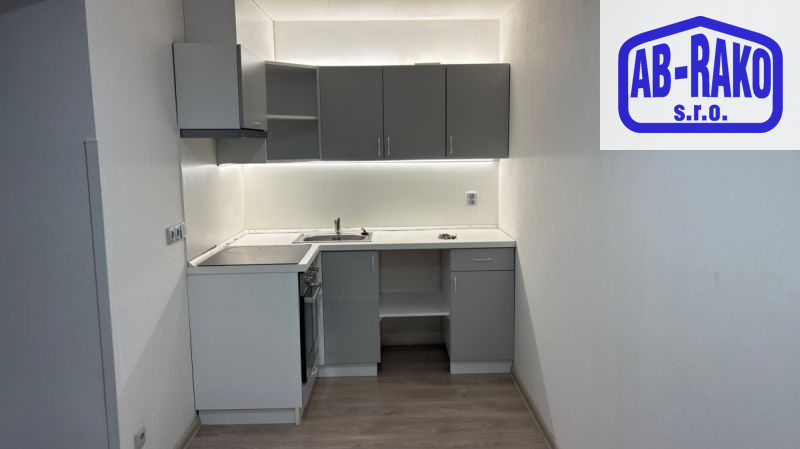 PRODEJ BYTU 2+1, modernizace v přízemí u centra N.