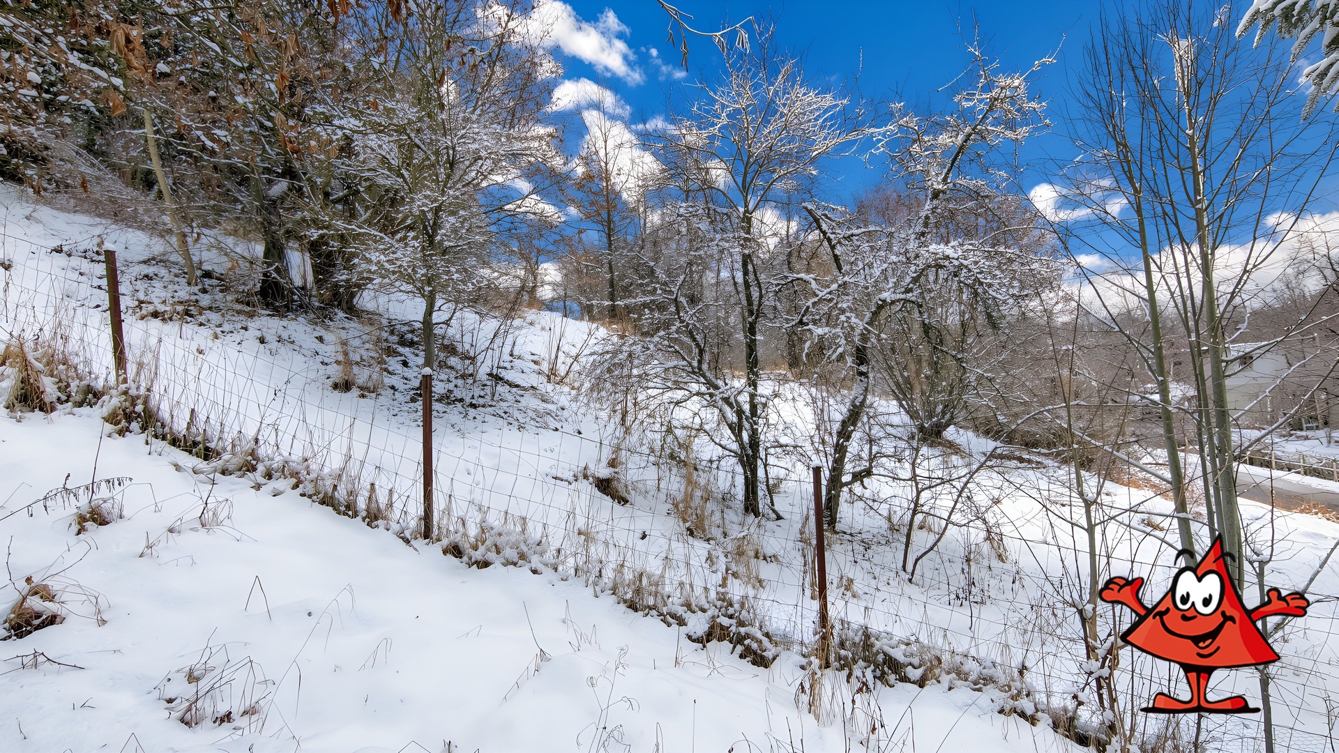 Parcela na prodej Volfartice - pohledc na plot