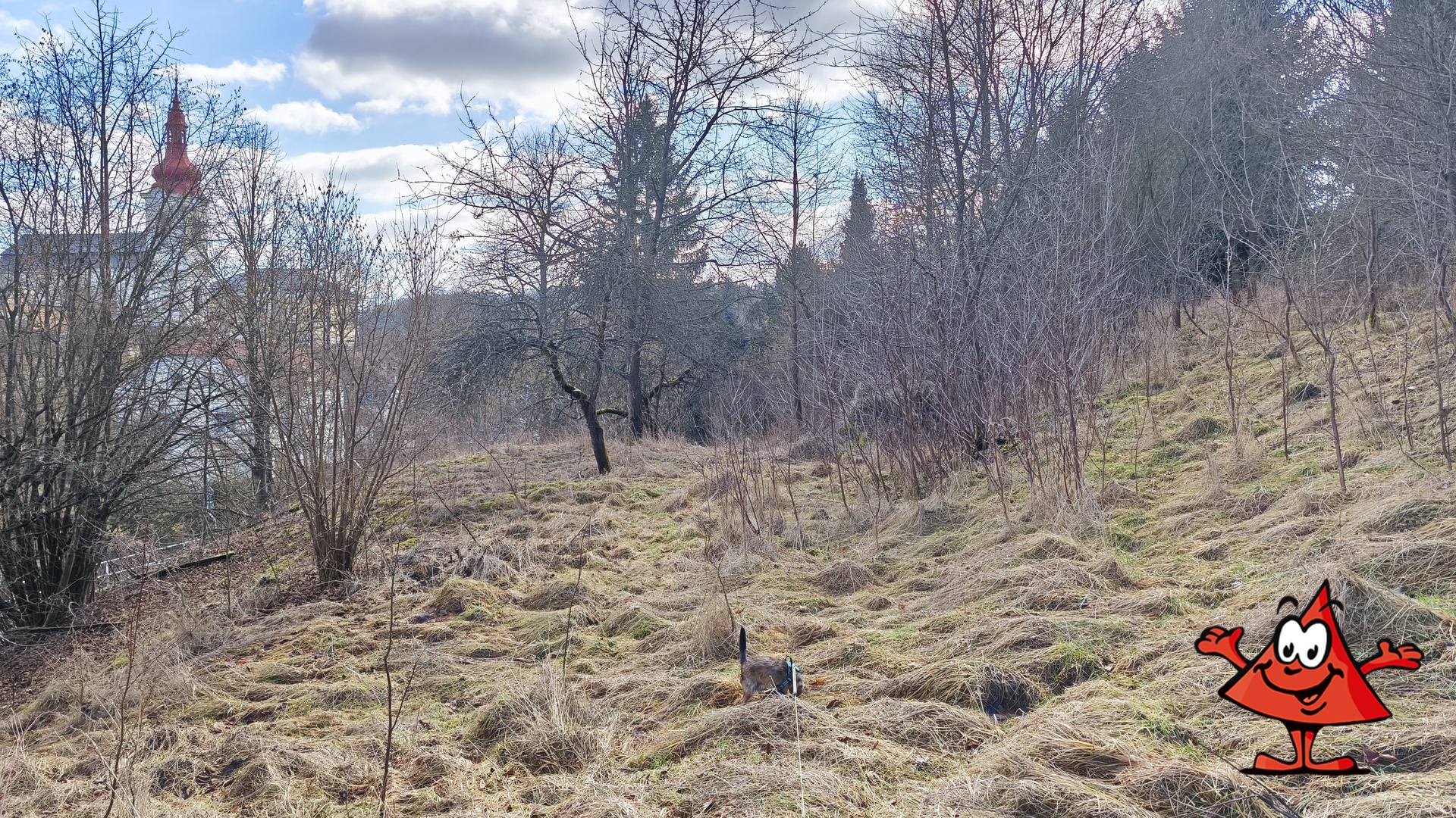 porosty na pozemku od plotu