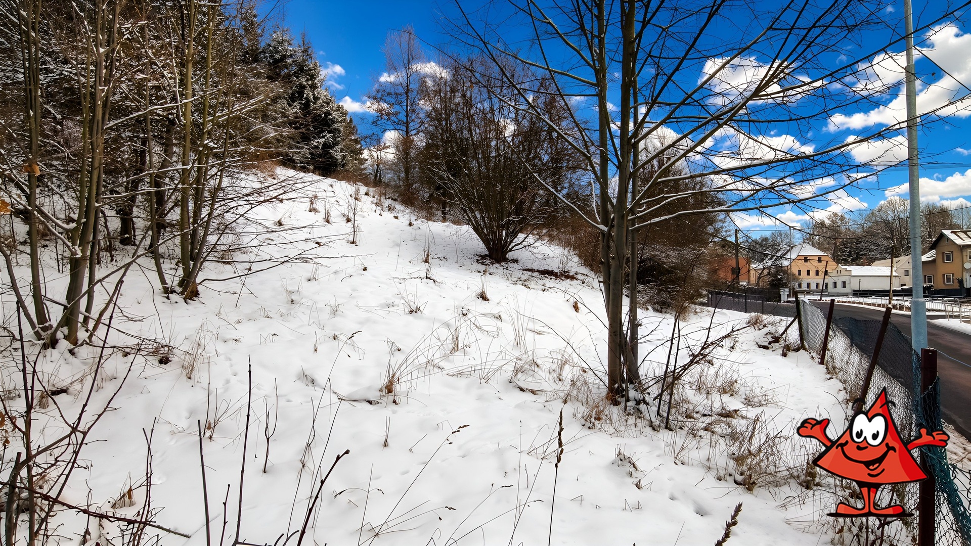 Parcela na prodej Volfartice - pohled na porosty