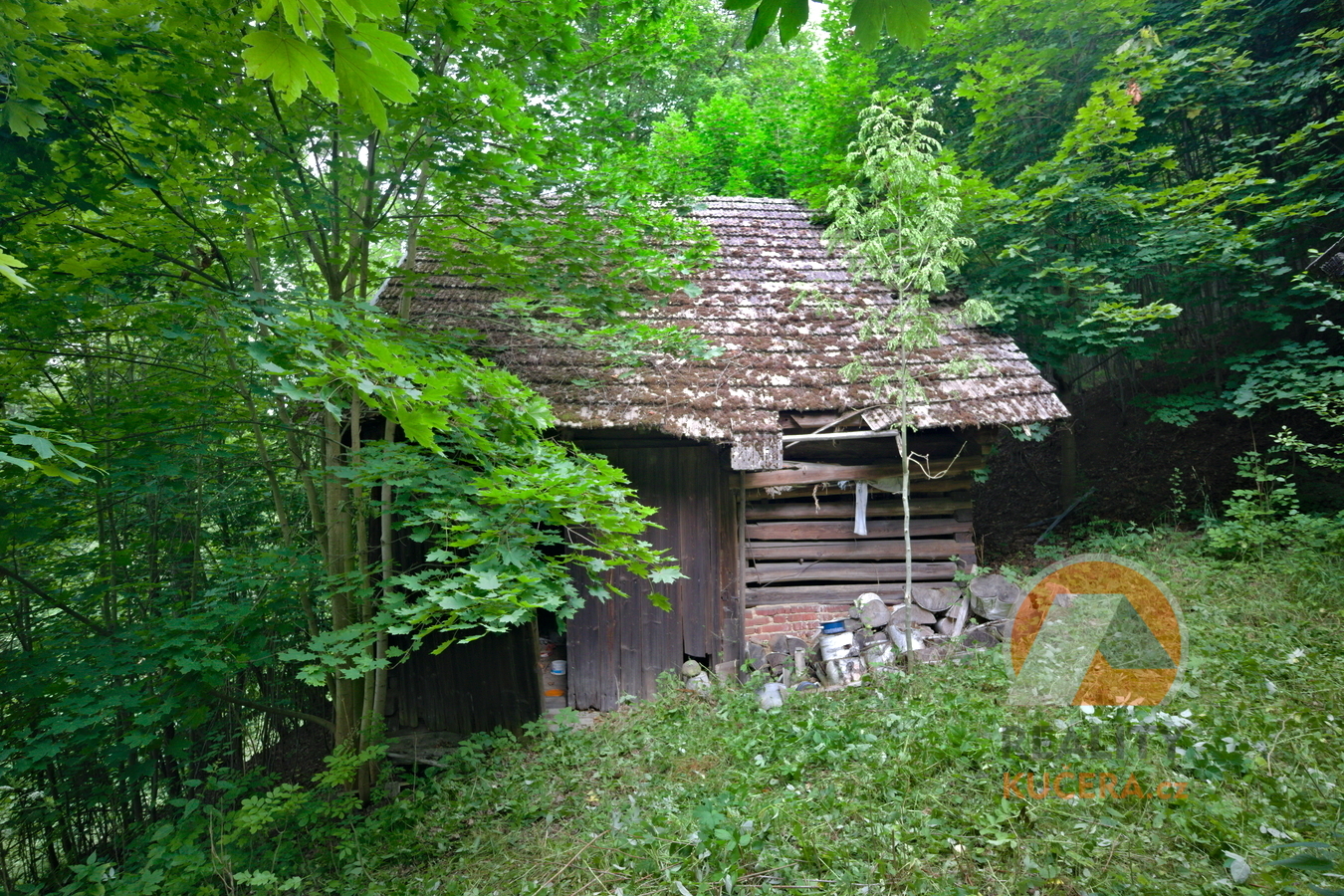 sodola.jpg