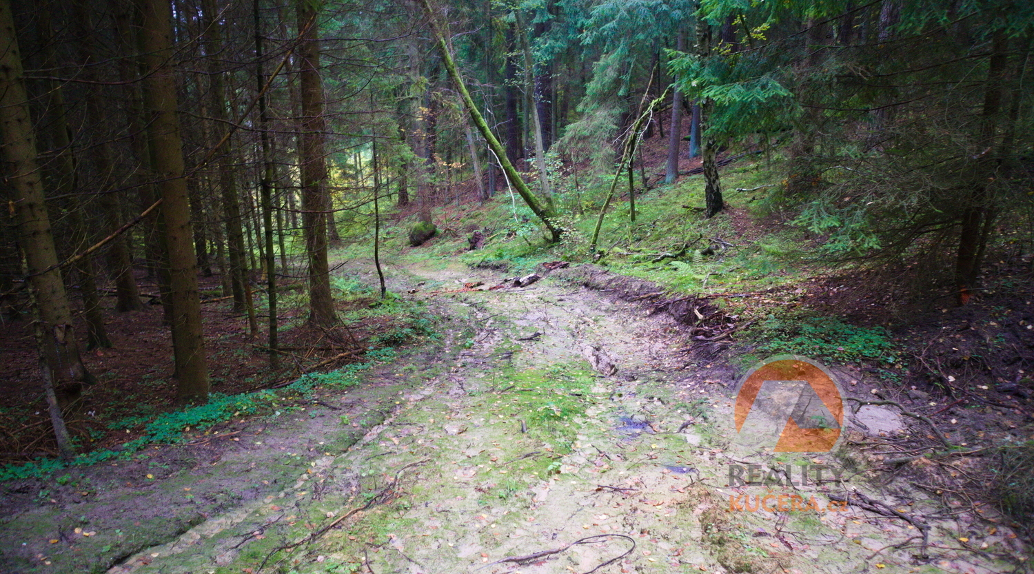 přístup-1.jpg