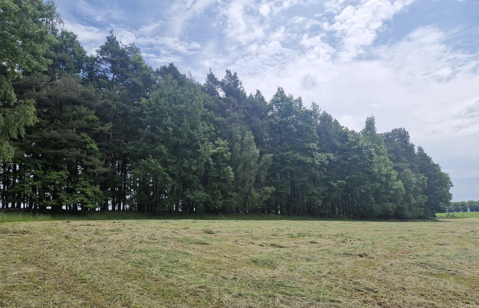 a906f0d0-6066-46bd-bf30-a624f184d9d7.jpeg