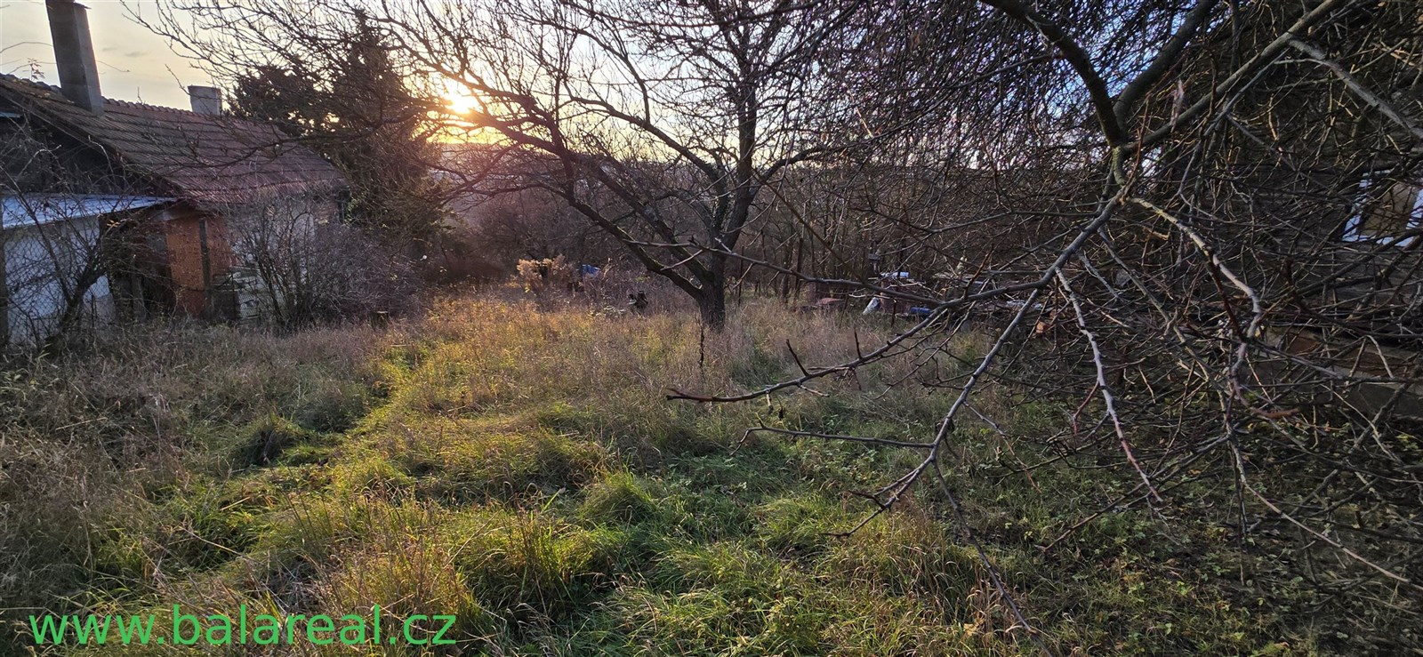 Zarostlá zahrada s ovocnými stromy, ideální pro rekonstrukci, v klidné lokalitě. Slunné místo s potenciálem pro úpravy dle vlastních představ.