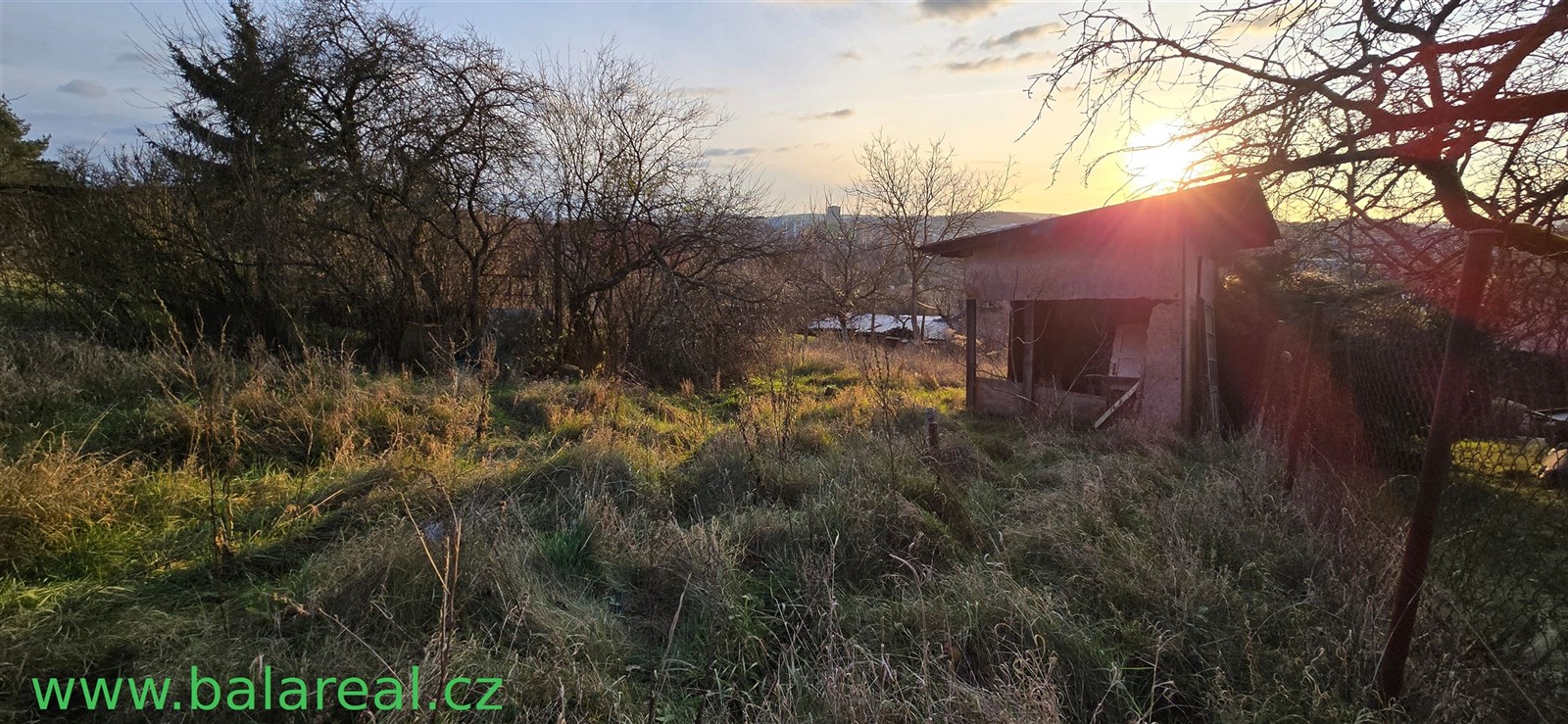 Zarostlá zahrada se starší dřevěnou kůlnou, ideální pro rekonstrukci a úpravu. Pozemek nabízí klidné prostředí a potenciál pro zahradničení.