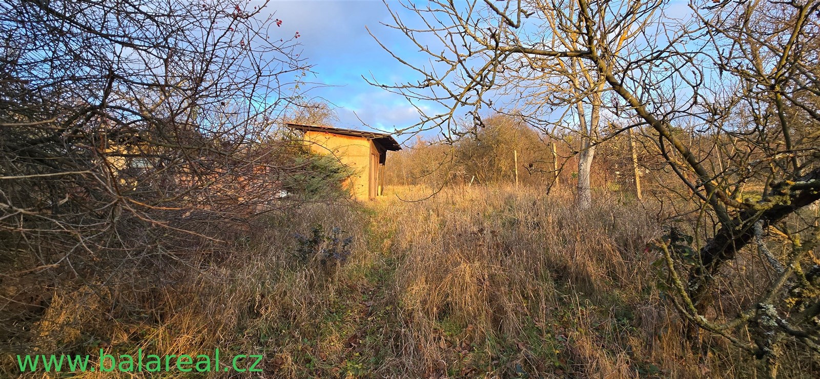 Prázdná zahrada se vzrostlými stromy a chatkou, vhodná pro rekonstrukci, nachází se v klidné lokalitě ideální pro milovníky přírody
