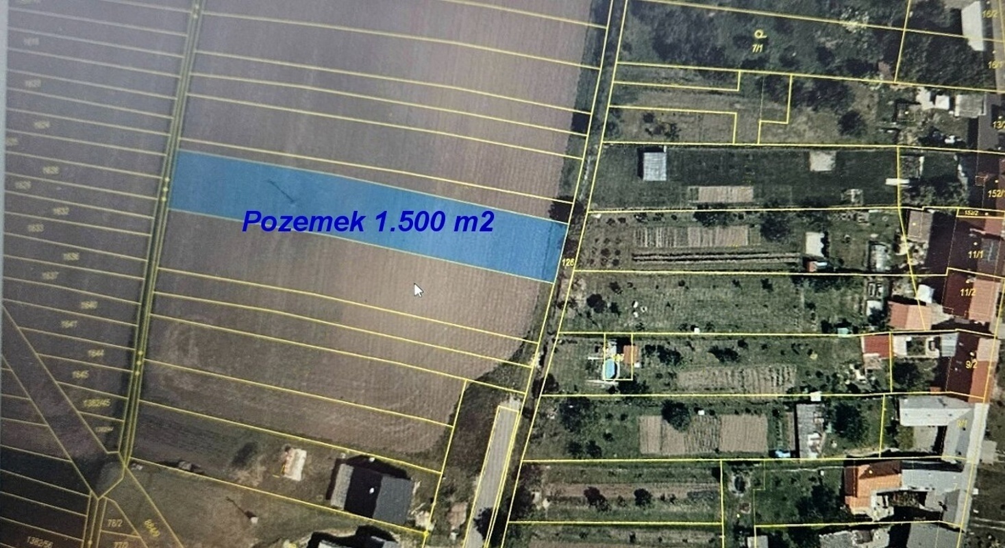 005.jpg