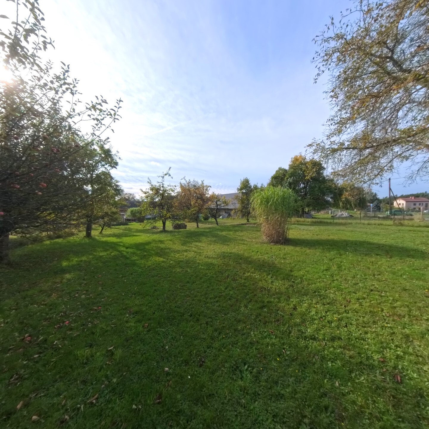 IMG_20250924_100625_00_465_2025-09-25_15-10-08_scr