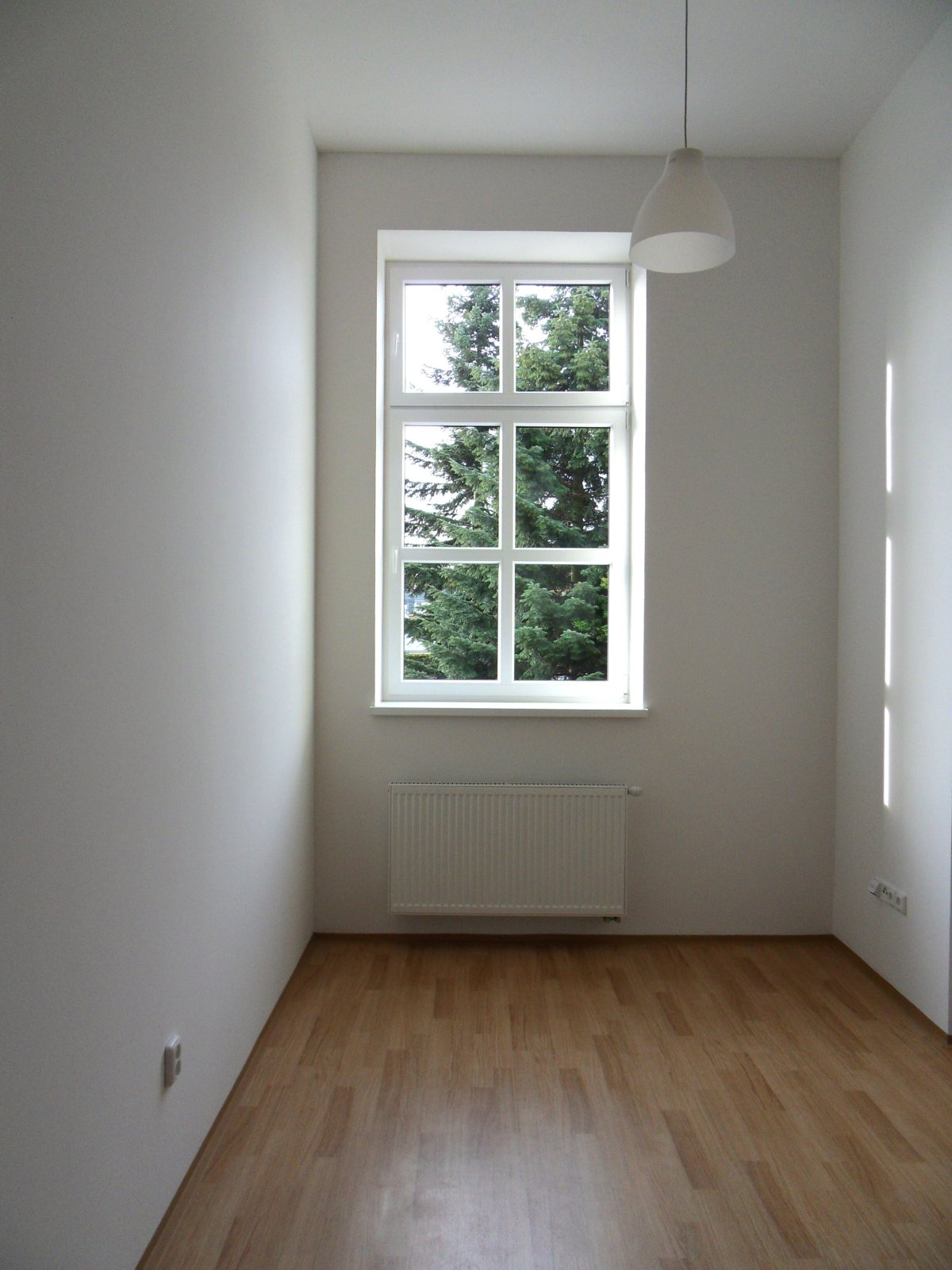 SDC14539.JPG