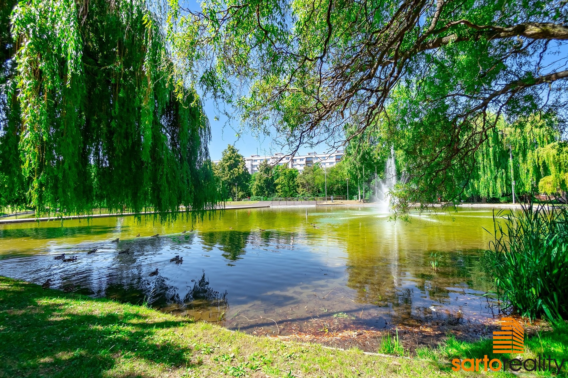 DSC06850-HDR