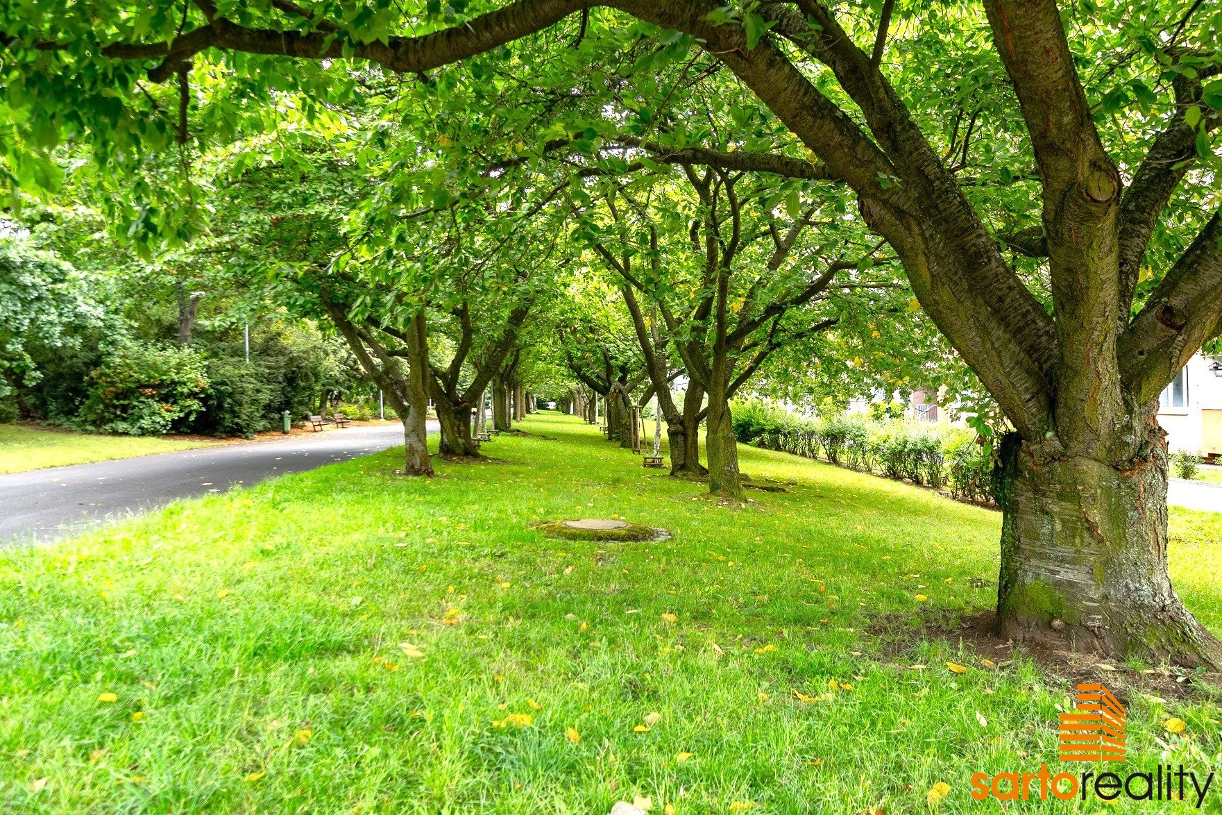 DSC08491-HDR