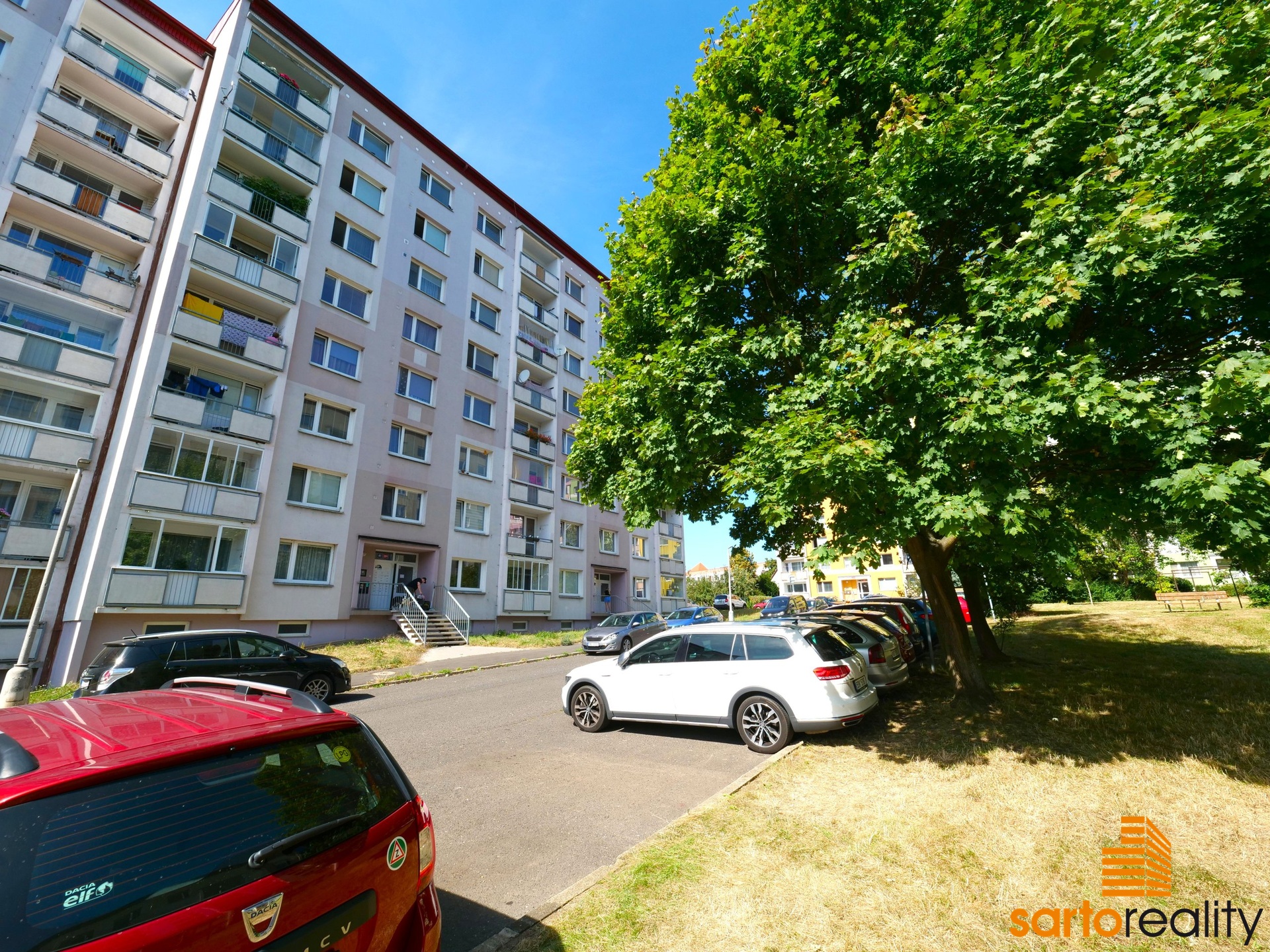 P1009584
